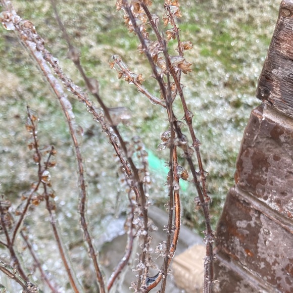 Profile Picture of Ravi krishnan Muthukrishnan (@r_muthukrishnan) on Poshmark