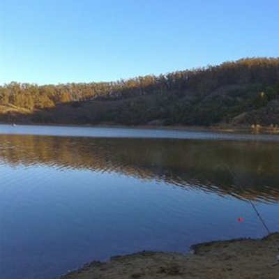 Profile Picture of Marcus Stall (@MarcusStall) on Twitter