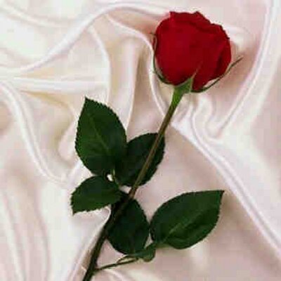 Profile Picture of Meredith Rivera (@Merivera02) on Twitter