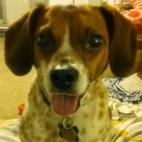 Profile Picture of Amy Schuler (@amy-schuler-4) on Quora
