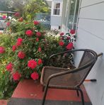 Profile Picture of Gladys Byrne (@gladys.byrne.9) on Facebook