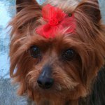 Profile Picture of Shelly Seaton (@seaton1112) on Instagram