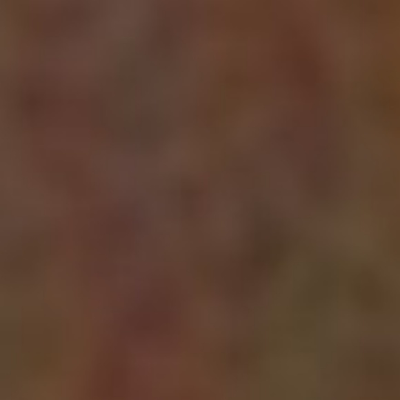 Profile Picture of Shawn Donnelly (@christopershawn) on Poshmark