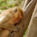 Profile Picture of Garrett (@garrettpinterd) on Instagram