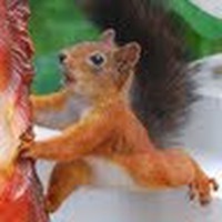 Profile Picture of Adam Friedberg (@adam-friedberg-1) on Quora