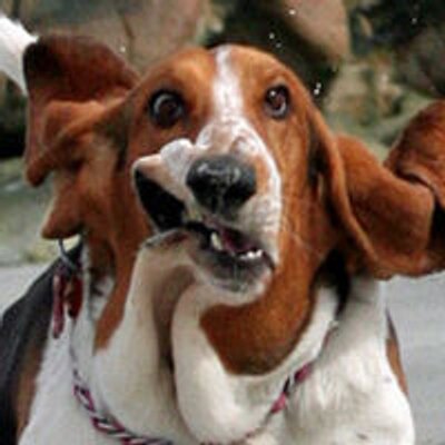 Profile Picture of John Tate (@JohnTat25497737) on Twitter