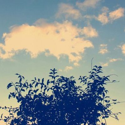 Profile Picture of Amanda Dunne (@amandadunne84) on Twitter