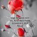 Profile Picture of Comitas Cruz (@roberto.pio.9465) on Facebook