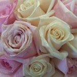 Profile Picture of Tanya Davern (@tanya.davern) on Instagram