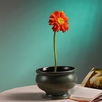 Profile Picture of Blake Jane (@Blake-Jane) on Facebook