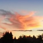 Profile Picture of Sherry Hodgson (@sherry.hodgson) on Instagram