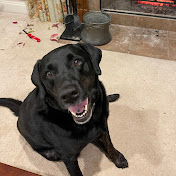 Profile Picture of Laura And Steve Raines (@lauraandsteveraines1082) on Youtube