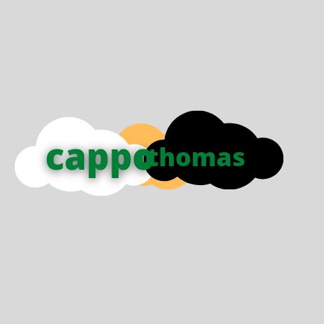 Profile Picture of Thomas Cappone (@cappotthomas) on Tiktok