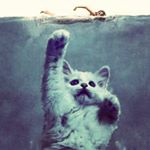 Helene Larsen - Instagram Profile Picture of Helene Larsen (@hurrahurrahelene) on Instagram