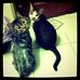 Profile Picture of Nancy Jheng (@nancy.cheng.58511) on Facebook