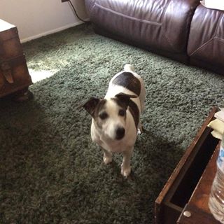 Profile Picture of Joel Trujillo (@Joel-Trujillo) on Facebook