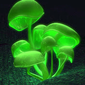 Profile Picture of Martin Reid (@mazareid) on Youtube