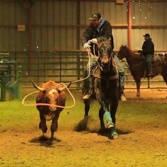 Matt Sellers - Twitter Profile Picture of Matt Sellers (@mattsellers13) on Twitter