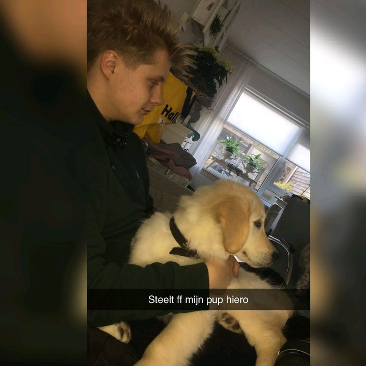 Profile Picture of Kevin Westra (@kevinwestra1) on Tiktok