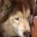Profile Picture of John St. Denis (@john.st.denis.528) on Facebook