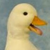 Profile Picture of Matthew Scala (@matthewscala3828) on Youtube
