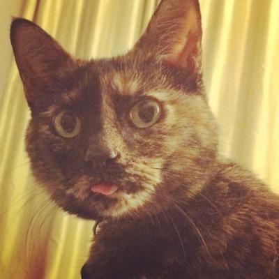 Profile Picture of Shawn Regan Bratton (@SReganBratton) on Twitter