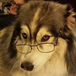 Profile Picture of Martha Durham Castro (@marthacastro1982) on Instagram