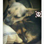 Profile Picture of ruby claire&althea montgomery (@rubyandalthea) on Instagram
