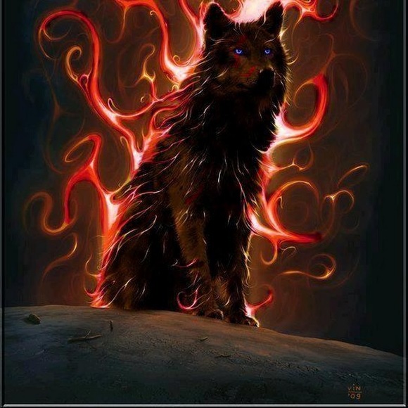 Profile Picture of Adam Mota (@adammota14) on Poshmark