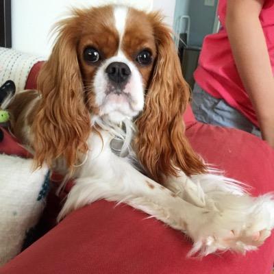 Profile Picture of Danielle D Pasley (@dprecruits) on Twitter