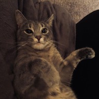 Profile Picture of Brandy Shanks (@brandy-shanks-3) on Quora