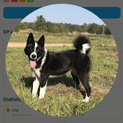 Profile Picture of Robert Paun (@robertpaun1720) on Youtube