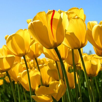 Profile Picture of Smitha George (@smitha_sm) on Twitter