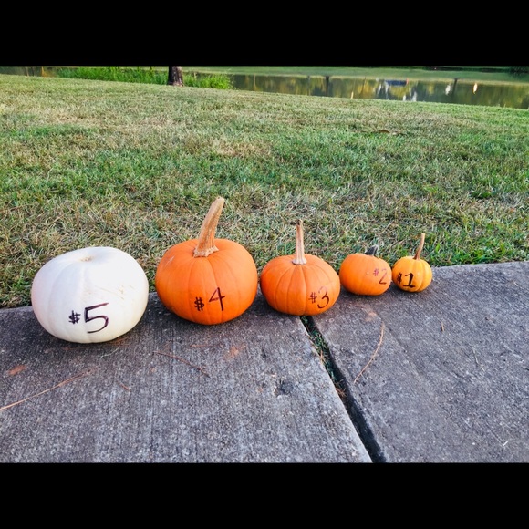 Mai Eminga - Poshmark Profile Picture of Mai Eminga (@mpeminga) on Poshmark