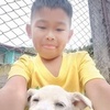Profile Picture of jasonrayapilado (@@jasonrayapilado) on Tiktok