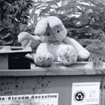 Profile Picture of Tyler Hoppe (@chainjaill) on Instagram