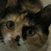 Profile Picture of Kimberly Stetson (@kimberly.stetson.1) on Facebook