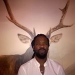 Profile Picture of Peter (@dramapet3) on Instagram