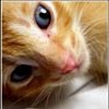 Profile Picture of Cerys Long (Pansy) (@cerys.long.5) on Facebook