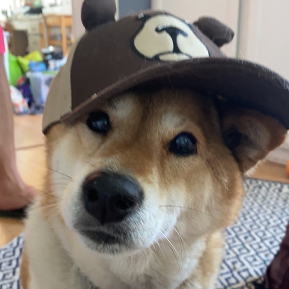 Profile Picture of Teagan Gilbertson (@teagang602) on Poshmark