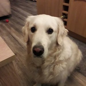 Profile Picture of Keith Slaughter (@Keithsl69235786) on Twitter