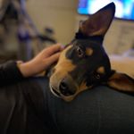 Profile Picture of Greg Grossberg (@greggrossberg) on Instagram