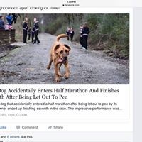 Profile Picture of Jordan Chandler (@jordan-chandler-14) on Quora