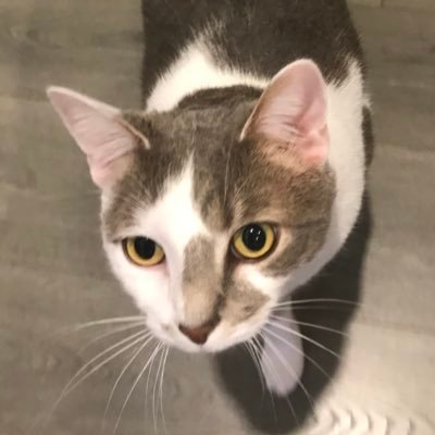 Profile Picture of Andrew Kerley (@AJkerley628) on Twitter