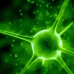 Profile Picture of Grayson Baird (@grayson.baird.54) on Facebook