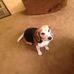 Profile Picture of Larry Schofield (@larry.schofield.56) on Facebook