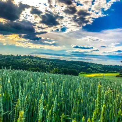 Profile Picture of Dirk Wagner (@DirkWagner_de) on Twitter