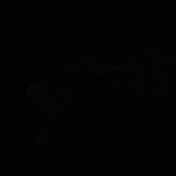 Profile Picture of Rojee (@rojee78) on Youtube