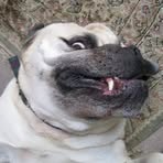 Profile Picture of Gary Collister (@gary.collister.5) on Facebook