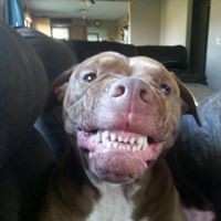 Profile Picture of Jennifer Butcher (@jennifer-butcher-14) on Quora